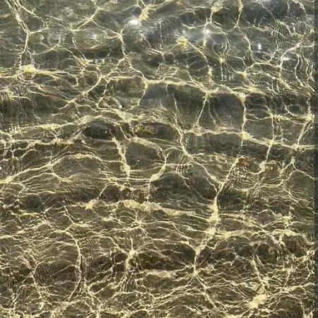 L' Arche Monolocale *