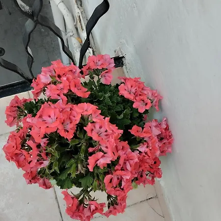 L' Arche Monolocale * Castellaneta