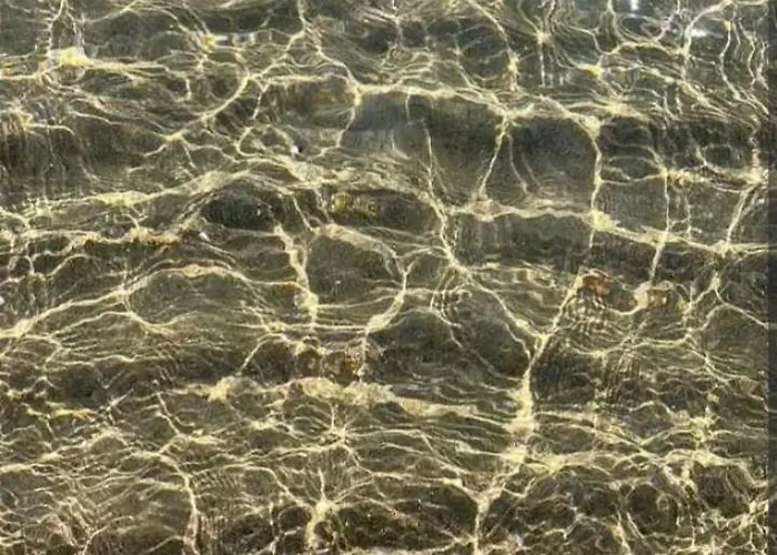 L' Arche Monolocale *