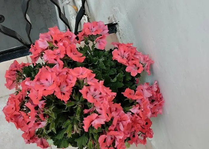 L' Arche Monolocale * Castellaneta